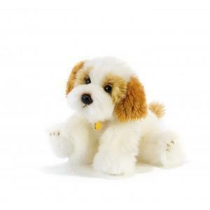 Peluche cane cavachon cm 30