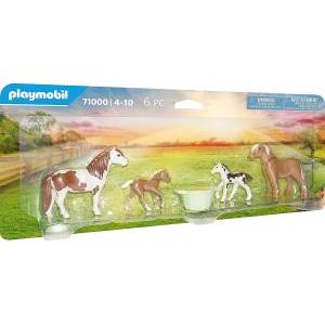 Country 71000 pony icelandic con puledri