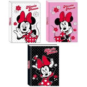 Diario 10mesi minnie