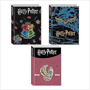 Diario 10mesi harry potter