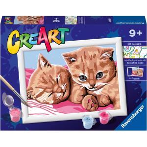 Creart gattini