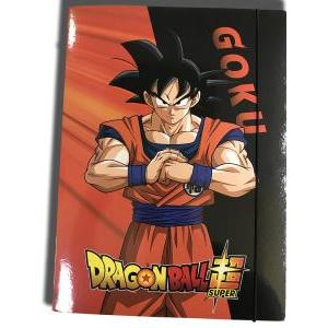 Cartellina p/disegni dragon ball